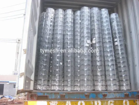 welded wire mesh 50x50