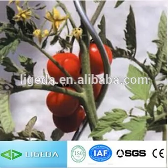 climbing plant support for tomato paste