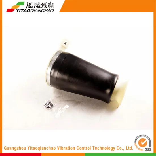 Hot Selling Hot Sale Customized Heavy Trailer Air Suspension