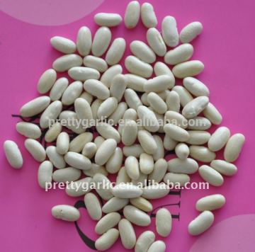 new crop light speckled kidney bean north-east origin