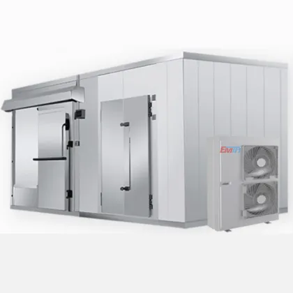 Roixue Mini Cold Storage and Walk-In Cooler for Sale" 

(Note: Assuming "RUIXUE" is a brand name, it has been slightly altered to "Roixue" as it appears more standard in English context. If "RUIXUE" is intentionally kept in uppercase, please use "RUIXUE" 