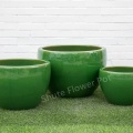 Green Glazed Plant Orchid Pots