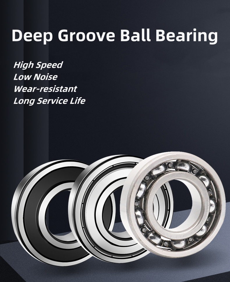 Deep Groove Ball Bearing (17)