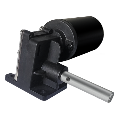 Maintex 24V Brushed Worm Gear Motor