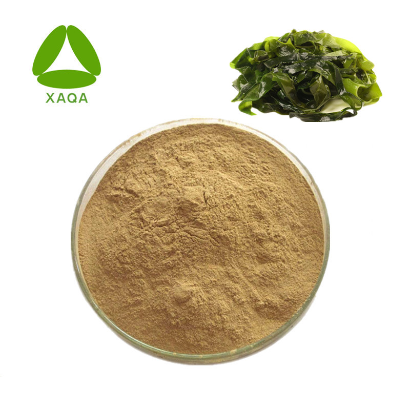 Food Additive 10:1 Kelp Extract Powder