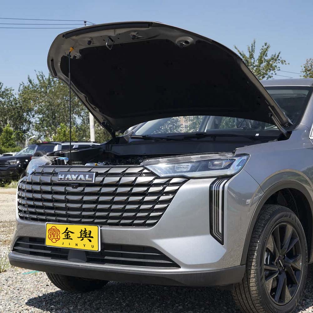 HAVAL H6 (5)