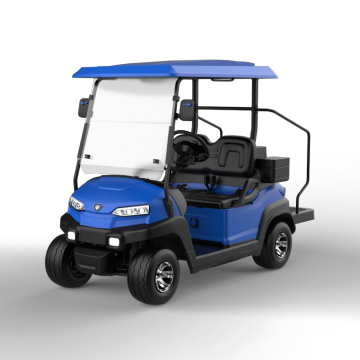 EEC Approved 4-Seater Electric Golf Cart for Sale
