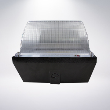 40w led canopy light for gas station MeanWell driver led light UL