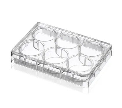 cell culture ELISA plate