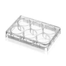 cell culture ELISA plate