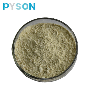 Milk Thistle extract (Silybin 95% HPLC )