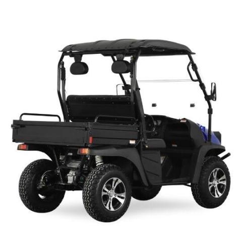 Carrito de golf eléctrico de estilo Jeep con EEC