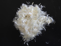 Monofilamen derek serat polypropylene untuk pelapis degreasing