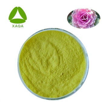Herbal Extracts Kale Extract Powder