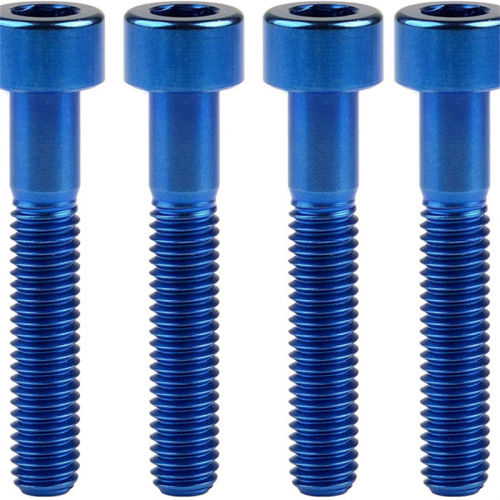 Colorful Titanium Screws on Sale