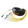 Cable de conexión de fibra 12F MPO (F) -LC G657A2 LSZH