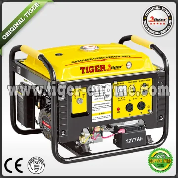 Gasoline generator sets TIG3000E