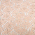 Tissu de robe de chemisier de dentelle de broderie en nylon de spandex