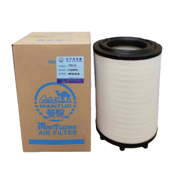 Truck Parts 1335679 1869993: Truck Air Filter