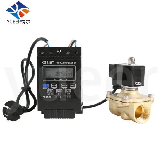 AC220V Electronic Drain Valve: Timed Automatic Drip Irrigation System with Garden Time Control Switch