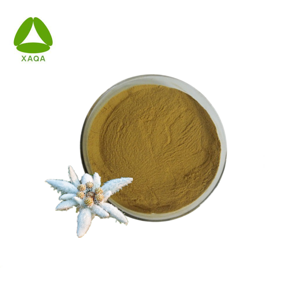 Antioxidante natural adormecido Edelweiss Extract Powder 10: 1