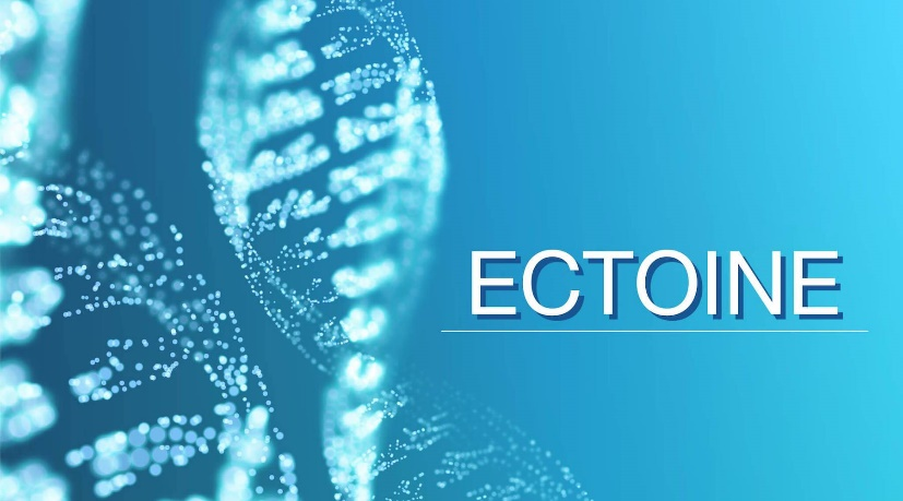 Ectoine