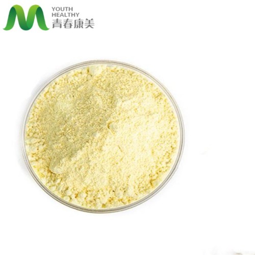 Bulk Price Vitamin K1 Powder