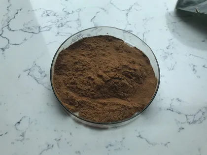 Best Price Black Fungus Mushroom Extract Powder