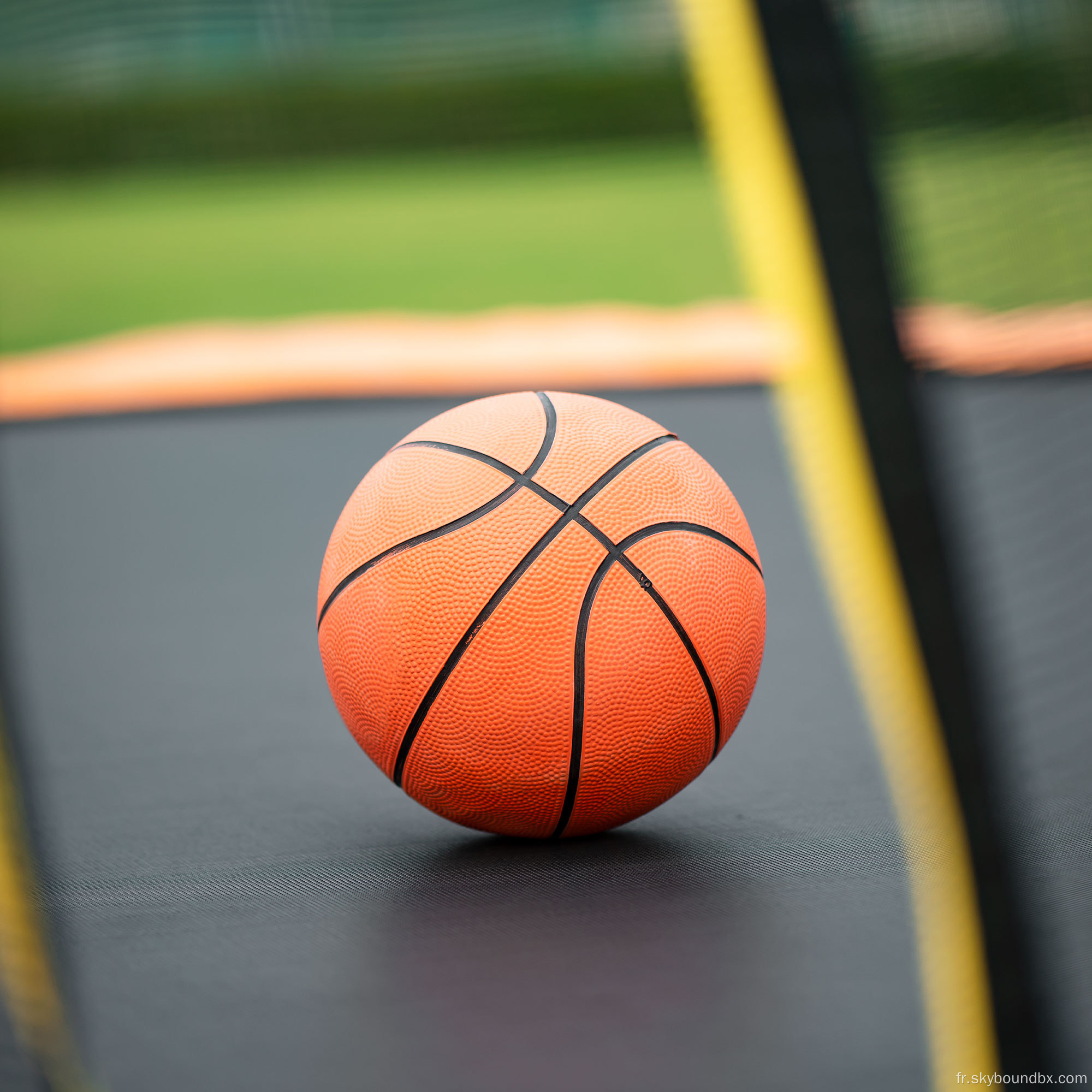 Trampoline extérieure de 12 pieds avec échelle ASTM CPC approuvée