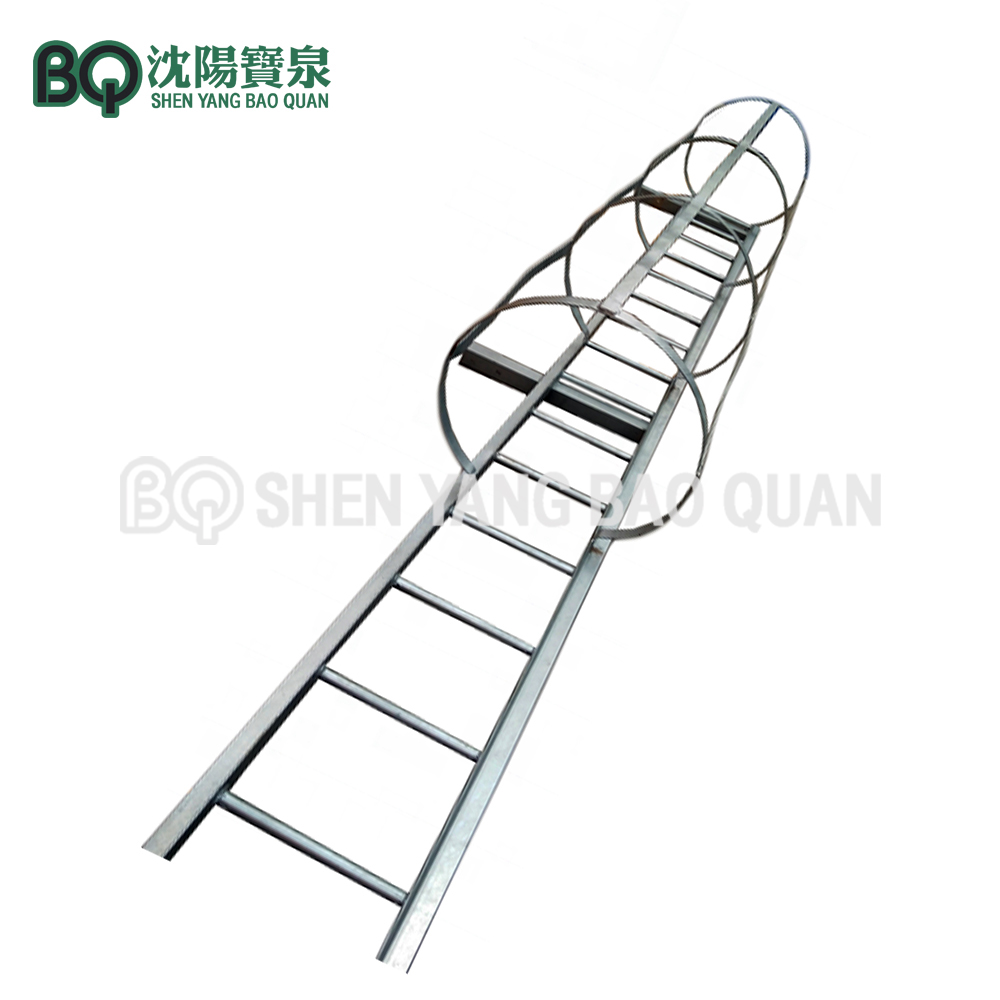 Mast Section Ladder cho Tower Crane