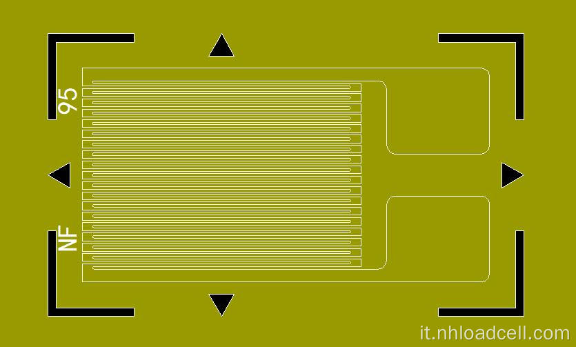 Gauge di sforzo compensato della temperatura del modulo elastici