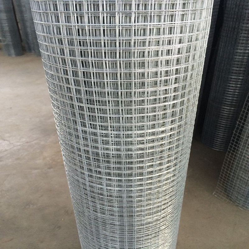 1/2x1 1x1 Dip chaud Galvanisé Fir Weld Wire Mesh 3 '4' 16 GAUGE Electro Galvanisé Mesh de lapin Cage de poulet pour volaille