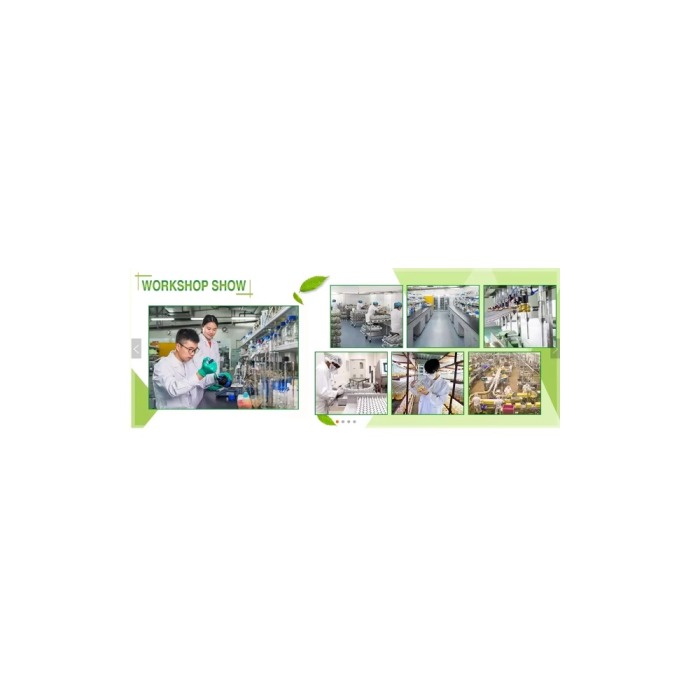 High Purity Daidzein 98% Bulk Ingredient