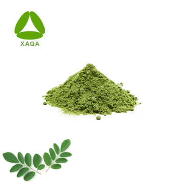 OEM Service Organic Moringa Blattextrakt Pulver 99%