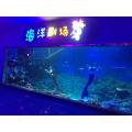 Hochtransparente Acryl -PMMA -Tunnel/Aquarium/Tankglas