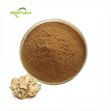 Premium Ligusticum Chuanxiong Extract