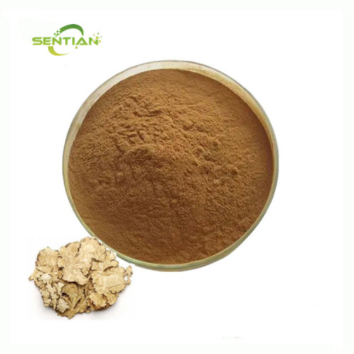 Premium Ligusticum Chuanxiong Extract
