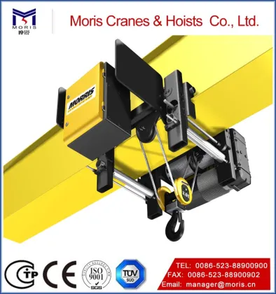 Multifunctional morris hoist with low price