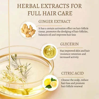 Factory Wholesale Natural Organic Ginger Polygonum Multiflorum Hair Shampoo - 650ml