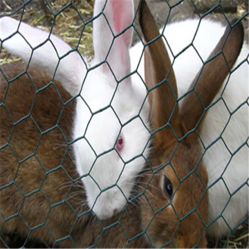 Hexagonal wire netting Low price chicken cage