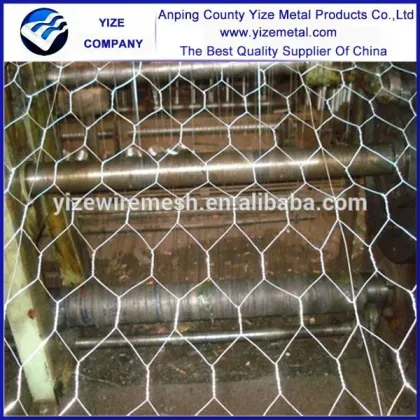 China Manufacturer brand hexagonal wire mesh