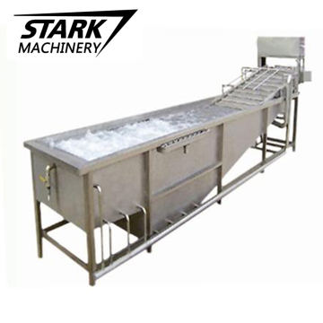 Pepper Chili Washing Machine: Industrial Water Washer Machinery Price