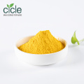 Folic Acid Vitamin B9 Folate