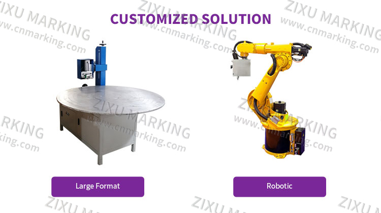 Integrated Inline Dot Peen Marking Machine