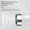 3 In 1 Autocure Hot Hair Dryer Comb Multifunctional Electric Hair Straightener Curler Brush High-power Hair Styling Machine Gift