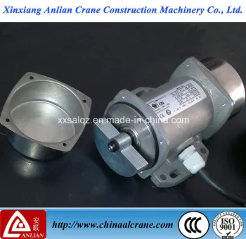 The Small Type Special Use Electric Vibration Motor