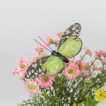 Artesanía de mariposas para preescolar