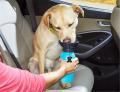 500ML Portable Dog Water Bottle Feeder