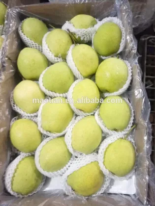 Shandong Pears