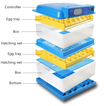 Fully Automatic Egg Incubator for Poultry, Duck, Goose, and Quail Eggs for Sale